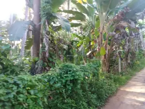 Land for sale in Hikkaduwa