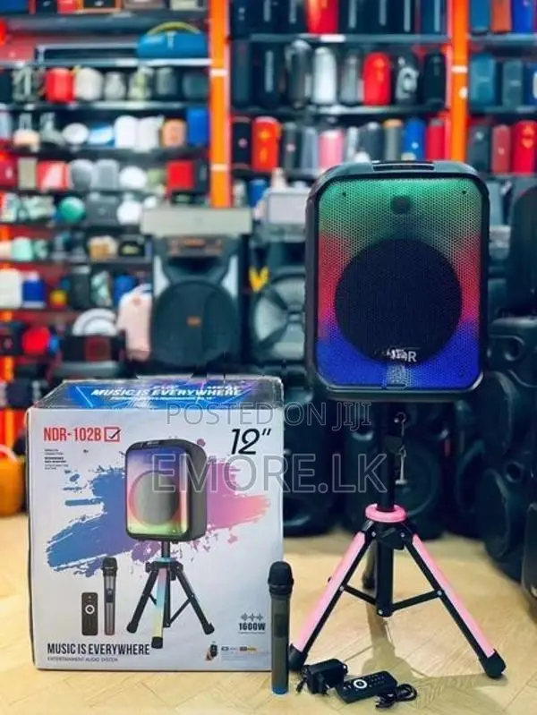 NDR-102B 12 Inch Wireless Bluetooth Speaker