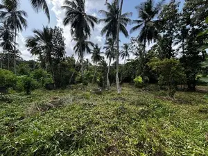 Land for Sale - Mirigama