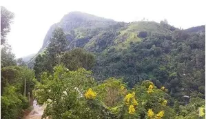 Land for Sale in Badulla