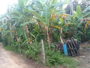 Land for sale in Hikkaduwa