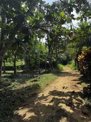 Land for Sale - Mirigama