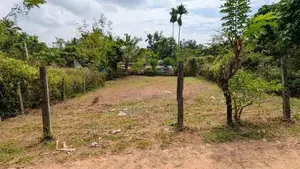 හෝමාගම නගරයට සහ ස්ටේෂන් එකට ඇවිදින දුරින් පර්චස් 10ක අගනා ඉඩමක්!