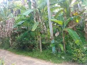 Land for sale in Hikkaduwa