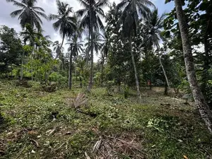 Land for Sale - Mirigama
