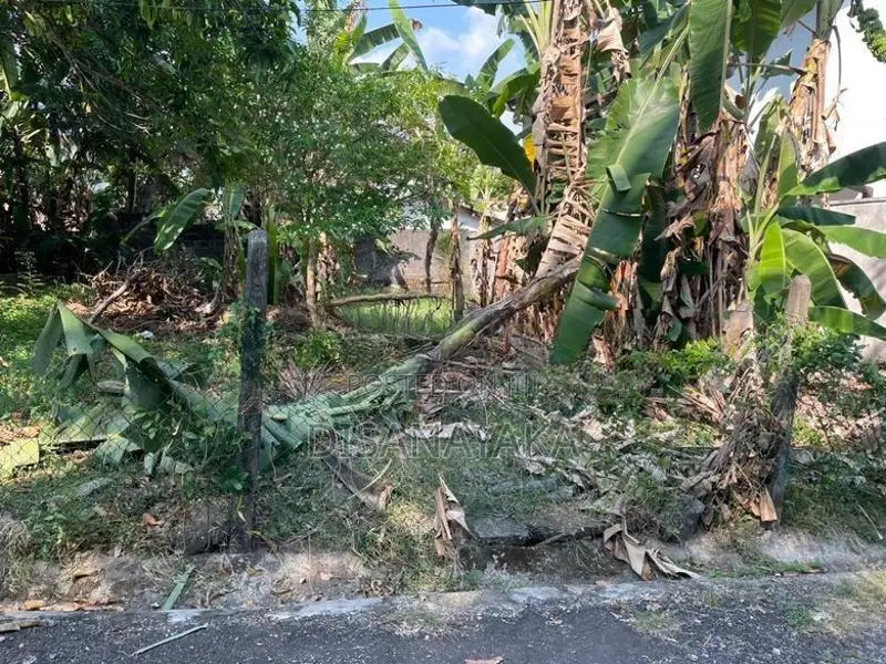 Super Land for Sale Pitakotte Ds1227