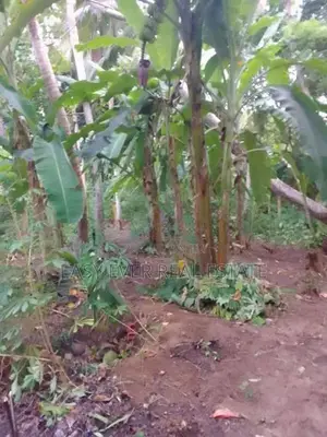 Land for sale in Hikkaduwa