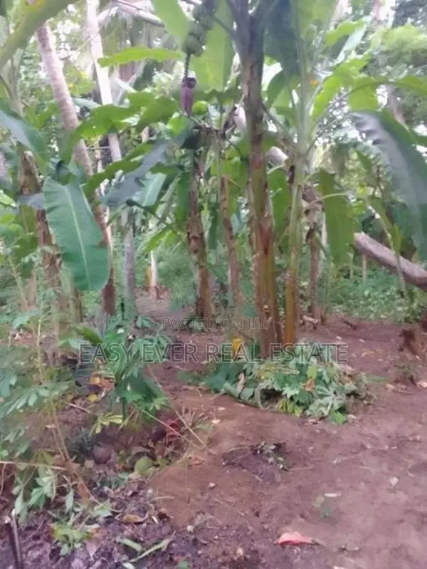Land for sale in Hikkaduwa