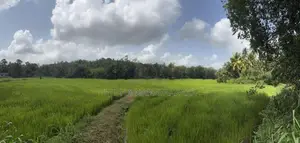 Land for Sale - Mirigama