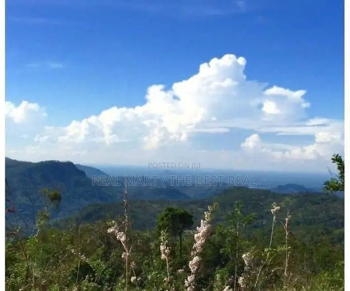 Haputale : 96 perches Land for Sale at Beragala