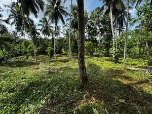 Land for Sale - Mirigama