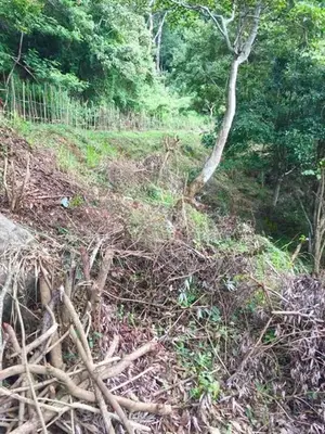 Haputale : 96 perches Land for Sale at Beragala