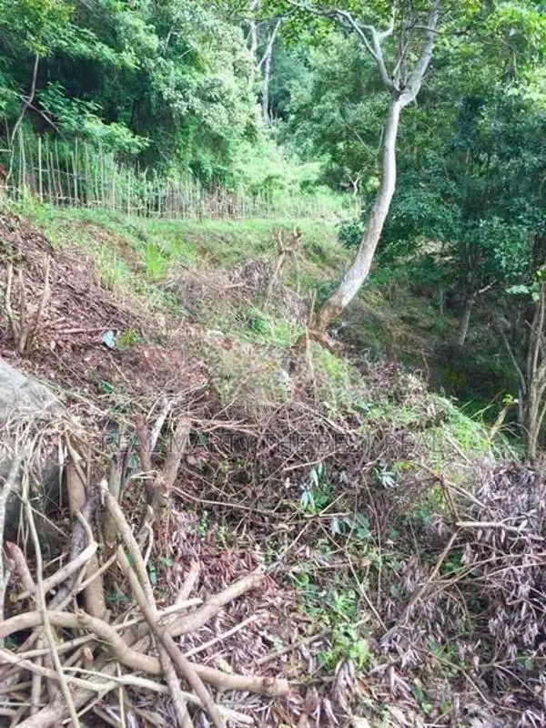 Haputale : 96 perches Land for Sale at Beragala