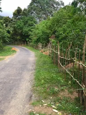 Haputale : 96 perches Land for Sale at Beragala