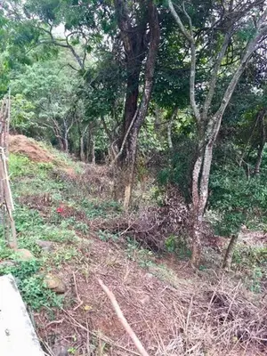 Haputale : 96 perches Land for Sale at Beragala