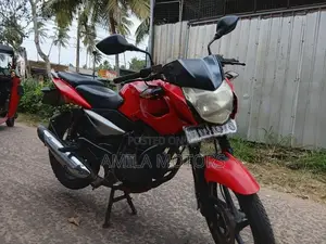 Bajaj Pulsar 135 2013