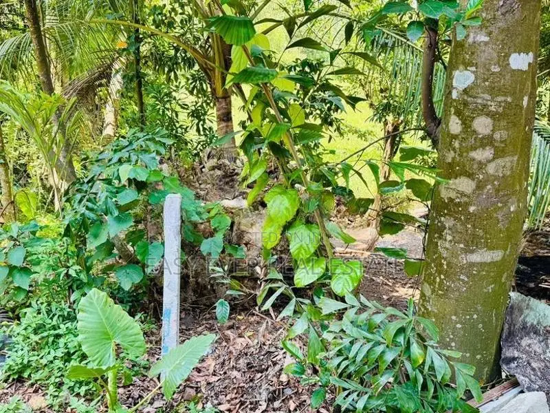 සියඹලාපේ හංදියට ආසන්නව ප්‍රධාන මාර්ගයෙන් දෙවනි ඉඩම