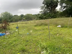 8 P BARE LAND FOR LEASE FACING ALLEN AVANUE