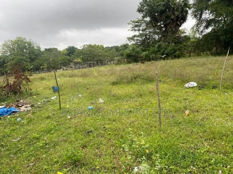 8 P BARE LAND FOR LEASE FACING ALLEN AVANUE