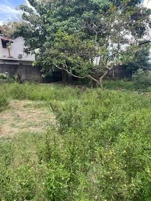 8 P BARE LAND FOR LEASE FACING ALLEN AVANUE