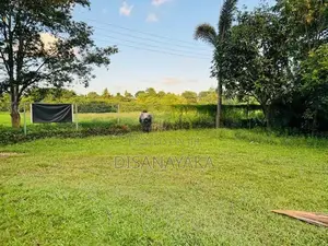 Land for Sale Akuregoda Ds1235