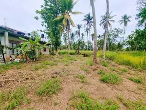නිට්ටඹුව – Britishway Academy & නුවර පාර ළගින් වටිනා ඉඩම