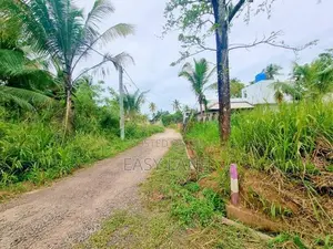 නිට්ටඹුව – Britishway Academy & නුවර පාර ළගින් වටිනා ඉඩම