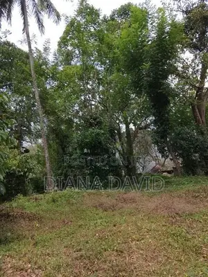 Cinnamon Land for Sale Madawala, Matale