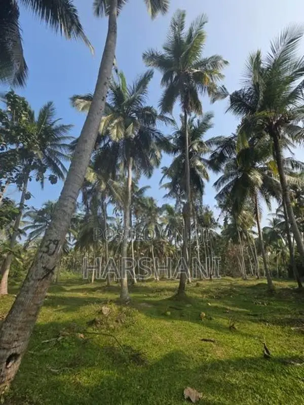 29 Acres Well Grown Coconut Estate for Sale at Katupotha, Wariyapola