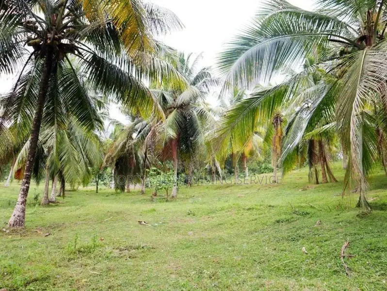 Land for Sale in Panadura