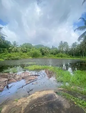 29 Acres Well Grown Coconut Estate for Sale at Katupotha, Wariyapola