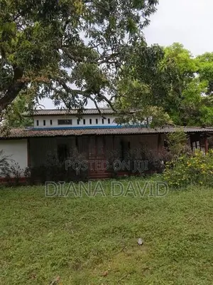 Cinnamon Land for Sale Madawala, Matale