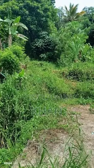 Land for Sale Peradeniya
