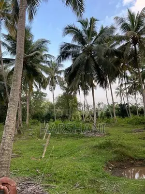 29 Acres Well Grown Coconut Estate for Sale at Katupotha, Wariyapola
