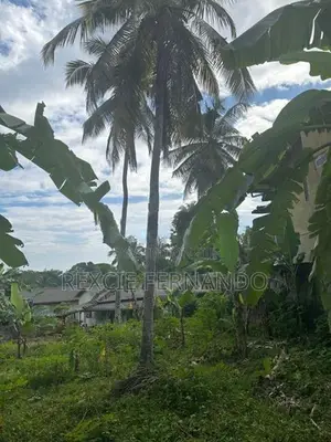 Bear Land for Sale Nittambuwa