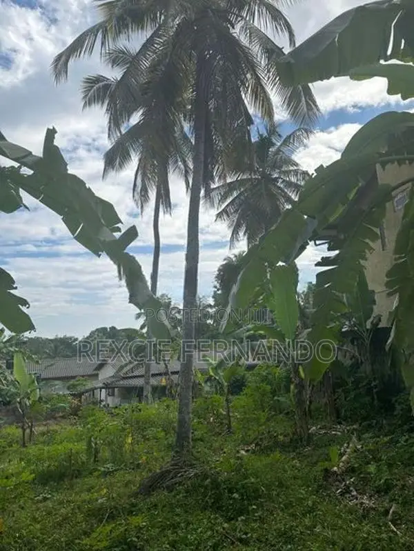 Bear Land for Sale Nittambuwa