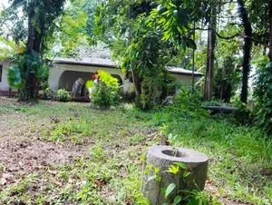 Bolgoda Lake Front Land for Sale