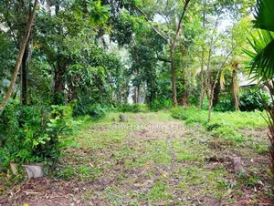 Bolgoda Lake Front Land for Sale