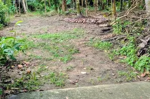 Nugegoda : 20.25 perches Land with House for Sale