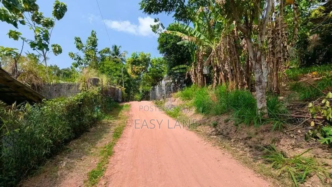 කඩවත මැයිගහමුල හංදියට ලඟින්ම