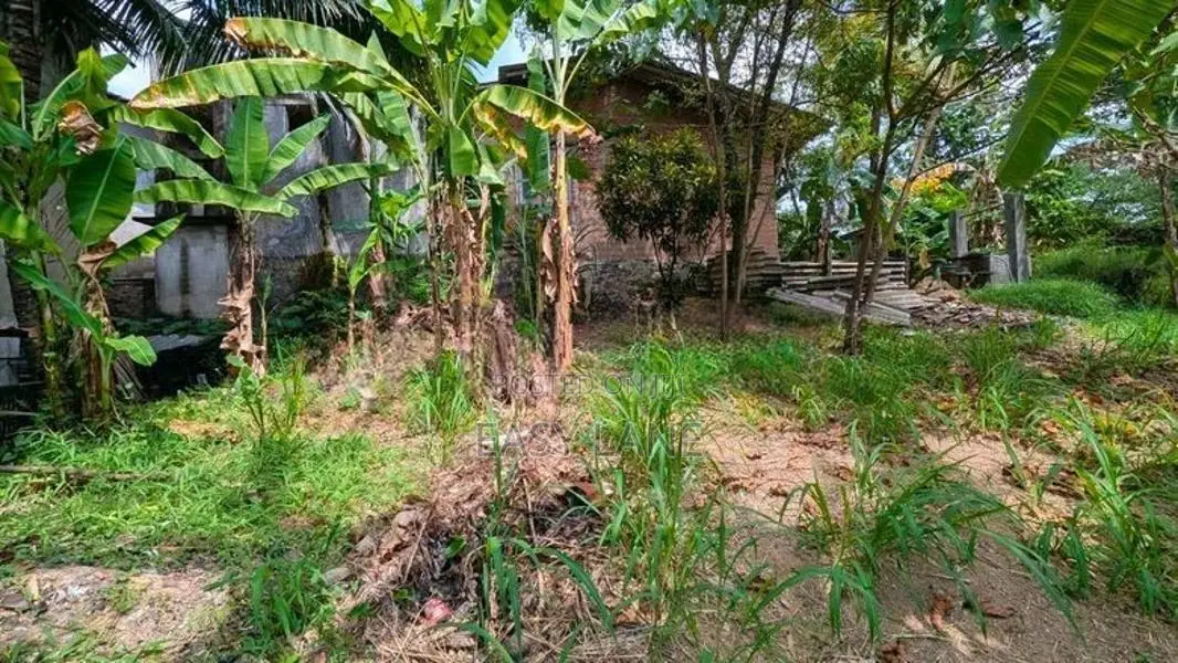 කඩවත මැයිගහමුල හංදියට ලඟින්ම