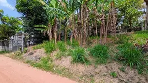 කඩවත මැයිගහමුල හංදියට ලඟින්ම