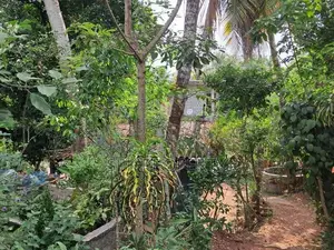 Land for Sale – Angoda