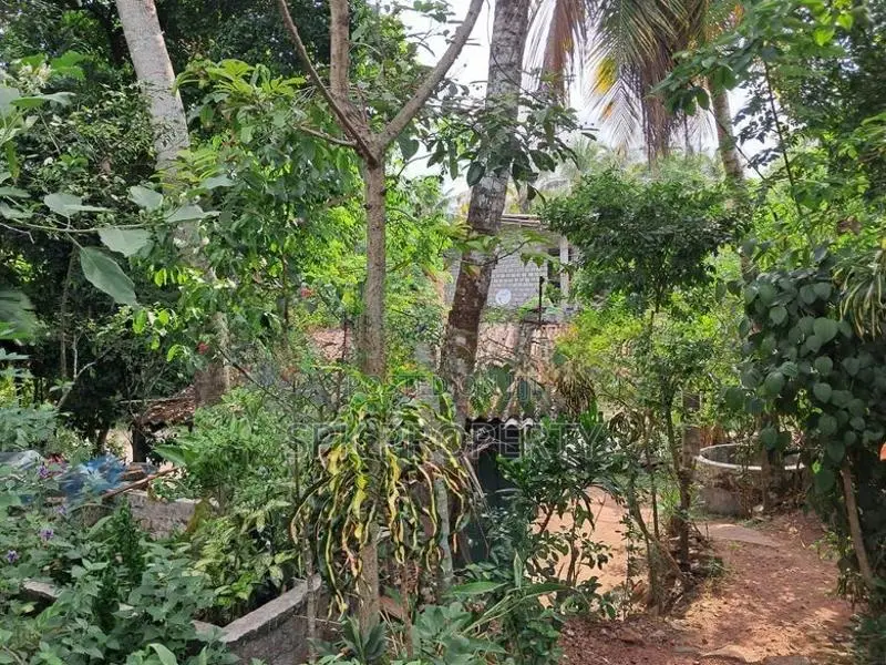 Land for Sale – Angoda