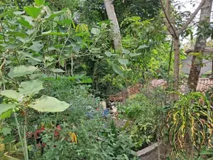 Land for Sale – Angoda