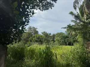 Super Land for Sale in Rajagiriya Ds6565