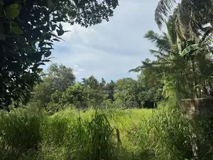 Super Land for Sale in Rajagiriya Ds6565