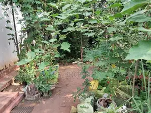 Land for Sale – Angoda