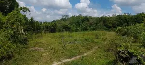 Horana Millaniya Junction 168 Perches Land for Sale