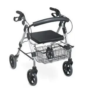 Walker Wheelchair FS965LH-1